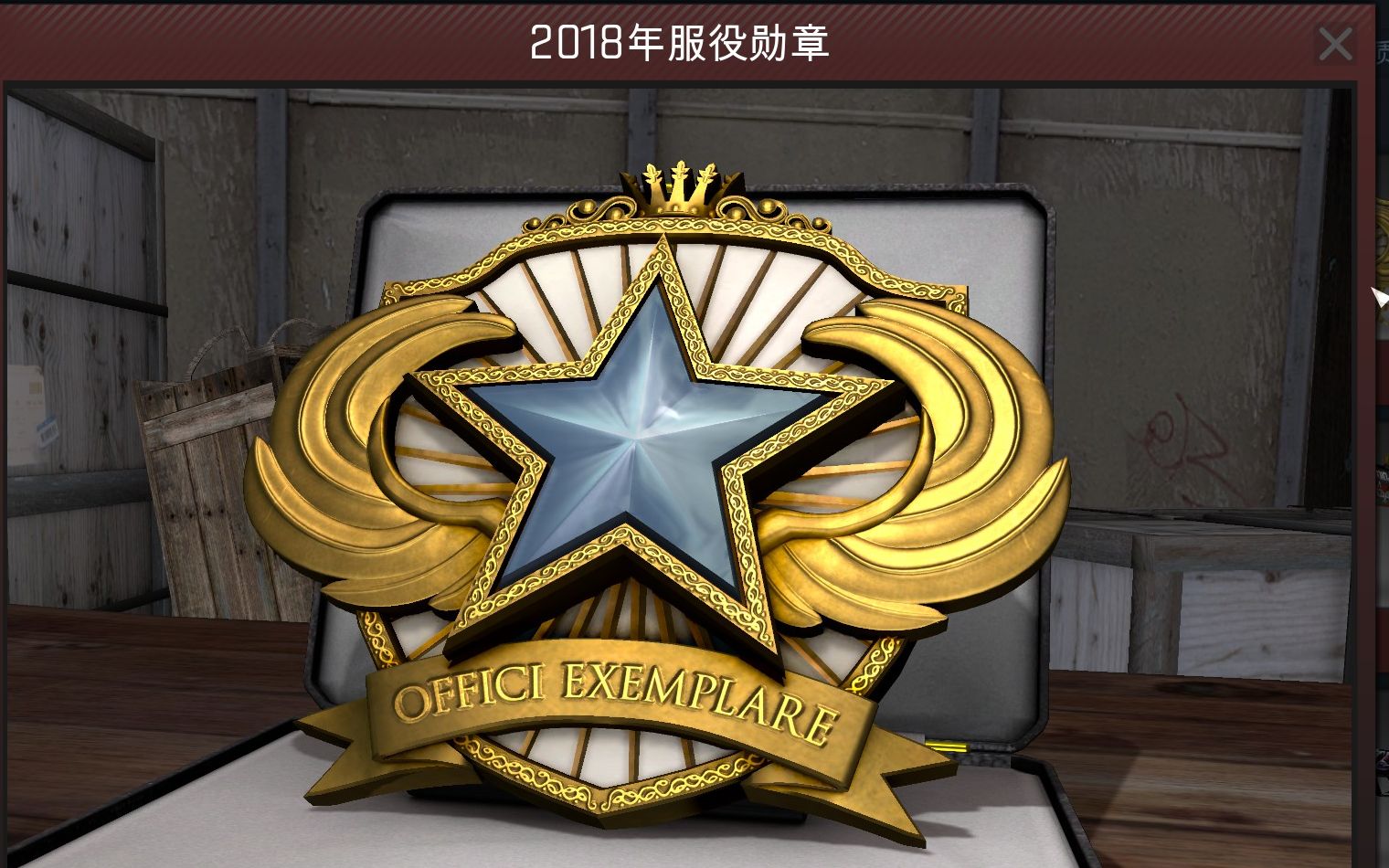 2021csgo服役勋章颜色图片