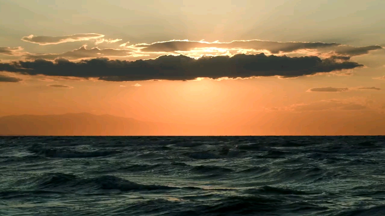 "凤凰涅槃,浴火重生."凤凰之子的歌很难不爱.