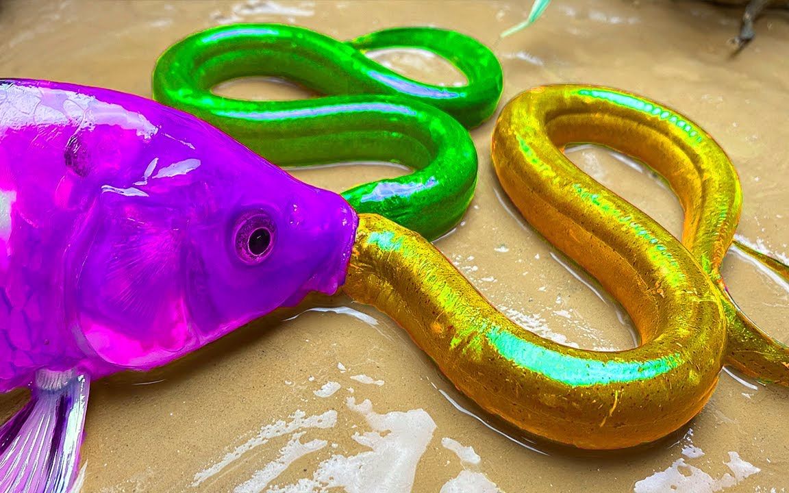 紫色鱼,彩色锦鲤鱼实验,非常有趣好玩!_哔哩哔哩_bilibili