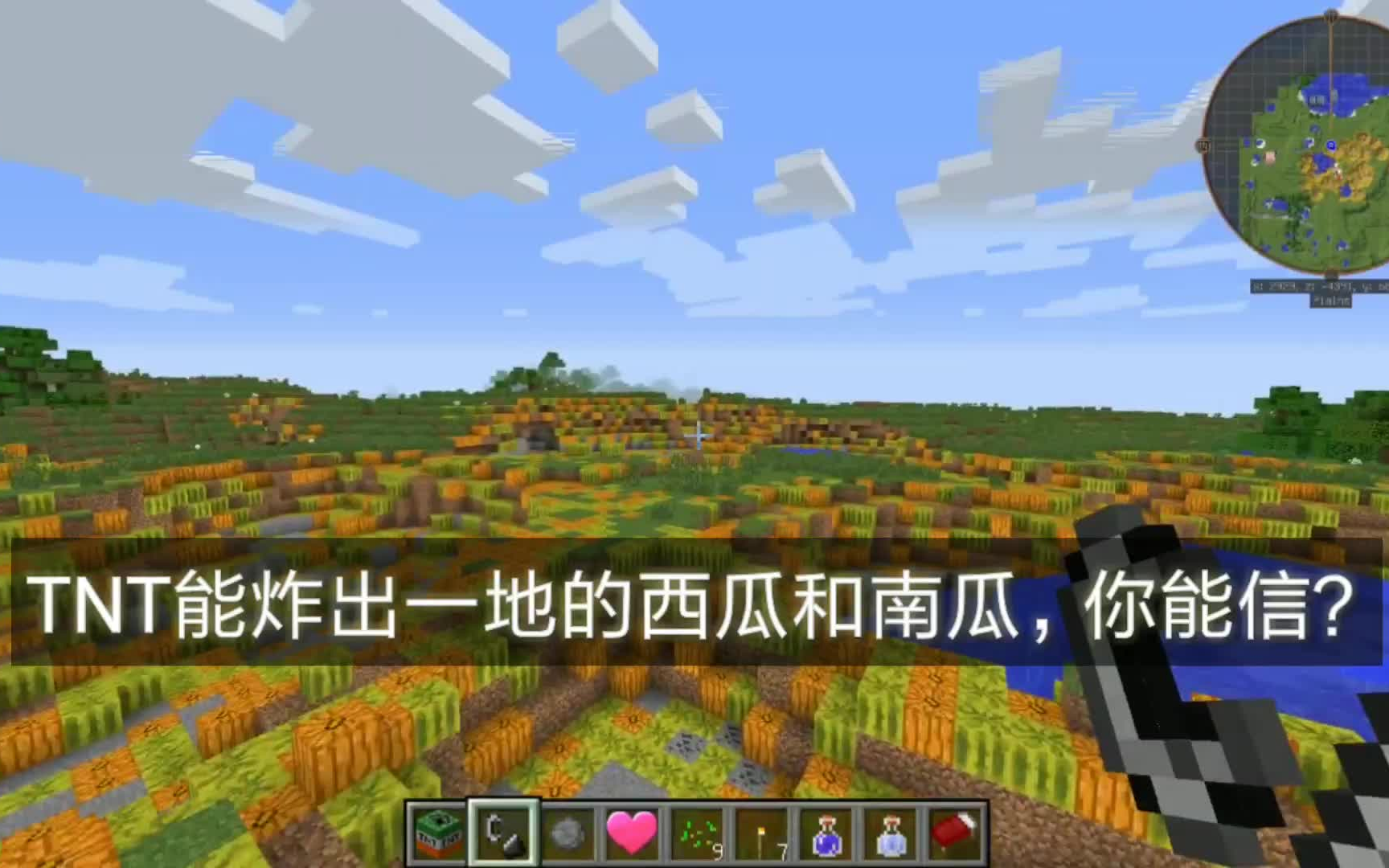 我的世界14:这一地的西瓜和南瓜都是被tnt炸出来的,这你能信?