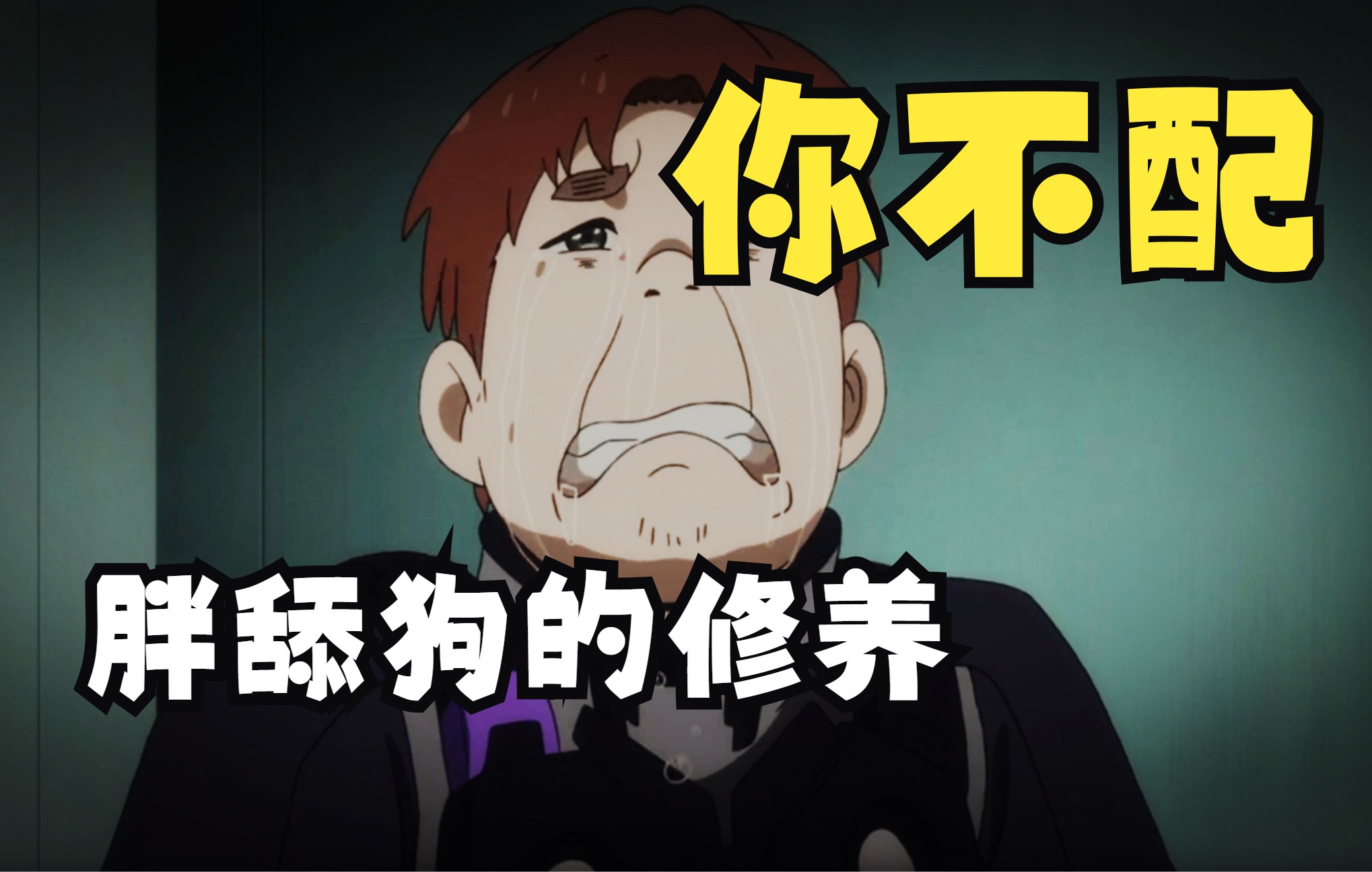 胖子难道不配拥有爱情吗?长得帅原来真的可以为所欲为