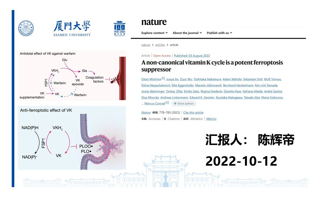 20221012文献汇报(陈辉帝)哔哩哔哩bilibili