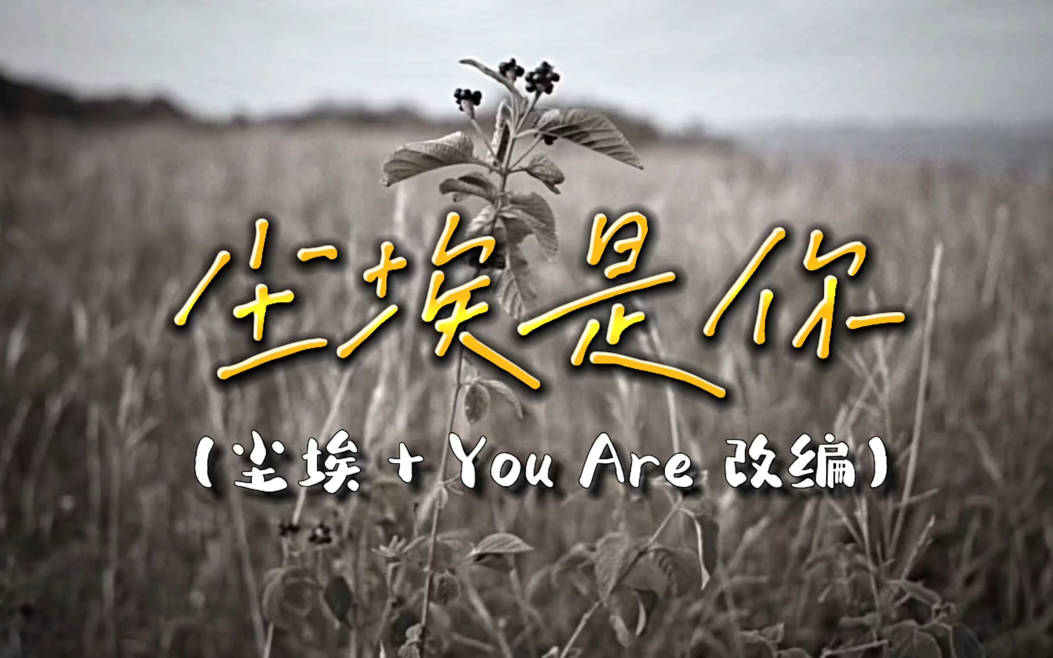 [图]《尘埃是你》改编自《尘埃》+《You Are》