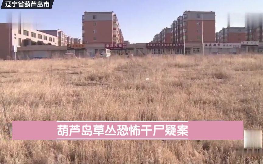 [图]辽宁省葫芦岛市《葫芦岛草丛恐怖干尸疑案》