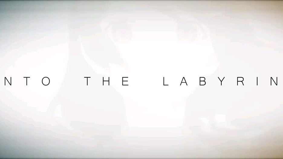 [图]【物语系列】INTO THE LABYRINTH