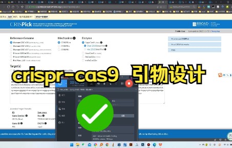 crisprcas9 引物设计哔哩哔哩bilibili