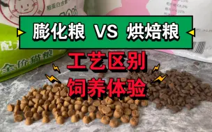 Video herunterladen: 膨化粮和烘焙粮的区别及饲养体验