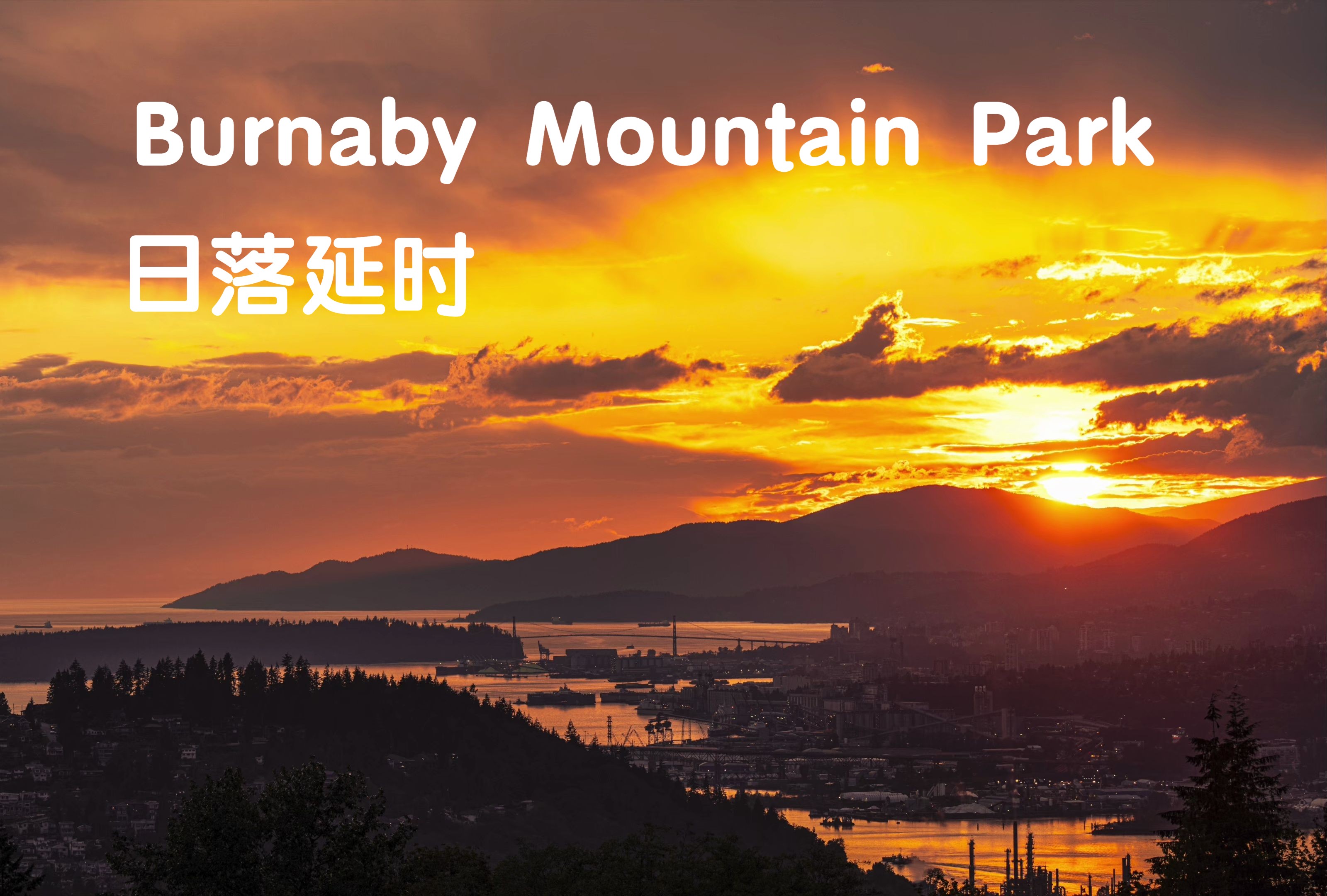 Burnaby Mountain Park日落延时哔哩哔哩bilibili