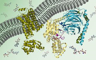 [图]【MIT麻省理工】生物化学：生物分子、方法和机制（英文字幕）