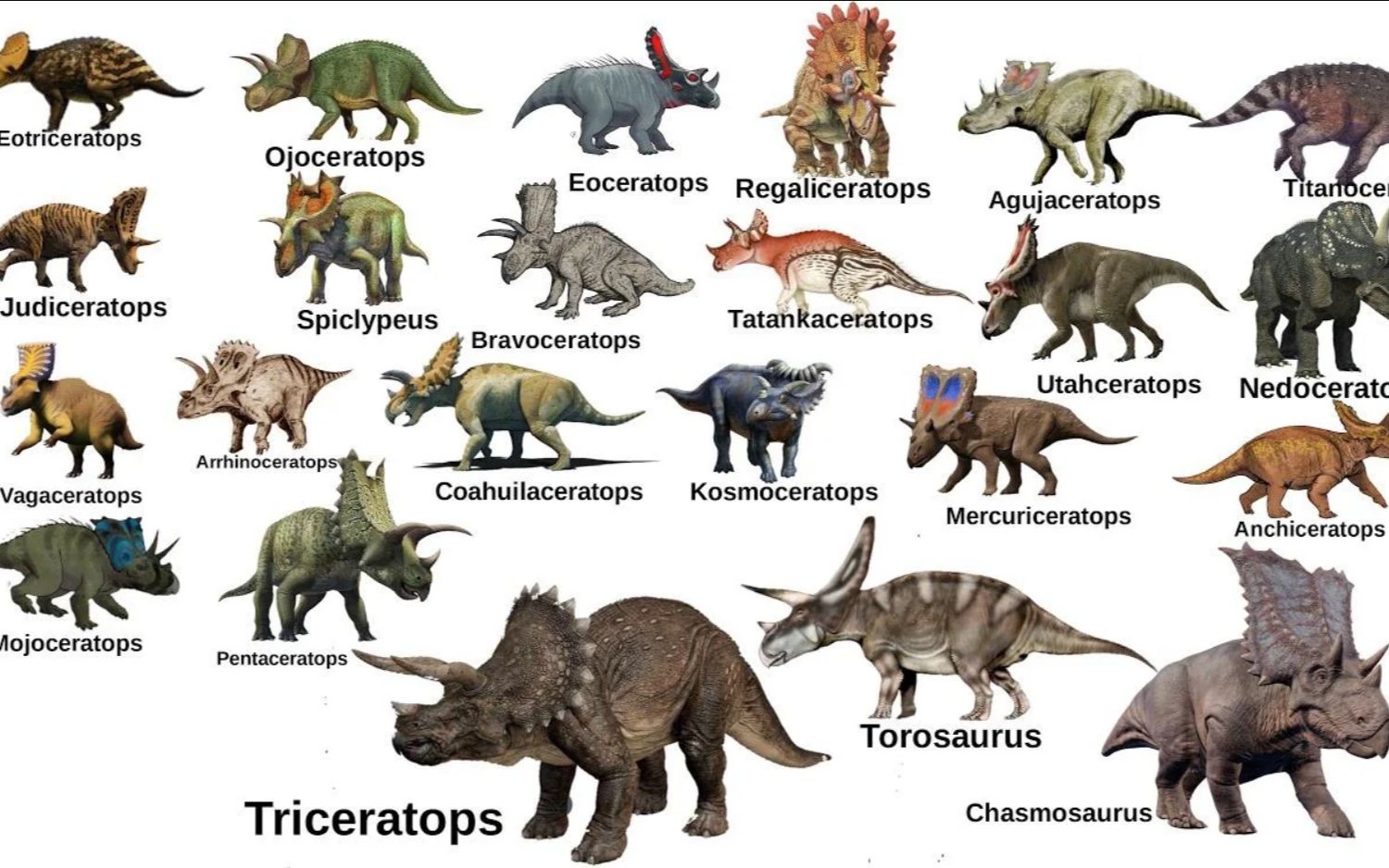 侏罗纪恐龙图片及介绍图片