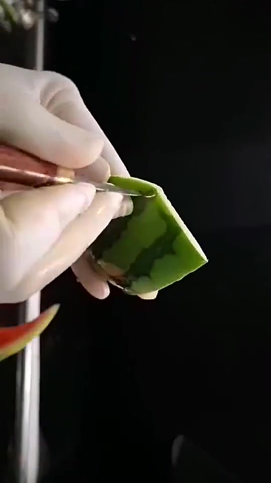 ktv老板的发财之道,5块钱的西瓜这样切,卖200都算便宜的