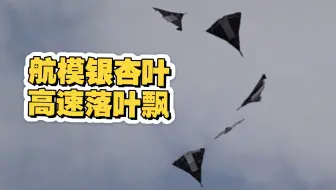 歼36（航模）落叶飘连转8圈，继续摸索无垂尾飞控的极限（配的航展音频）