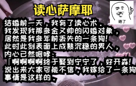 小说推荐!!我的老公是条狗!!结婚前一天,我有了读心术.哔哩哔哩bilibili