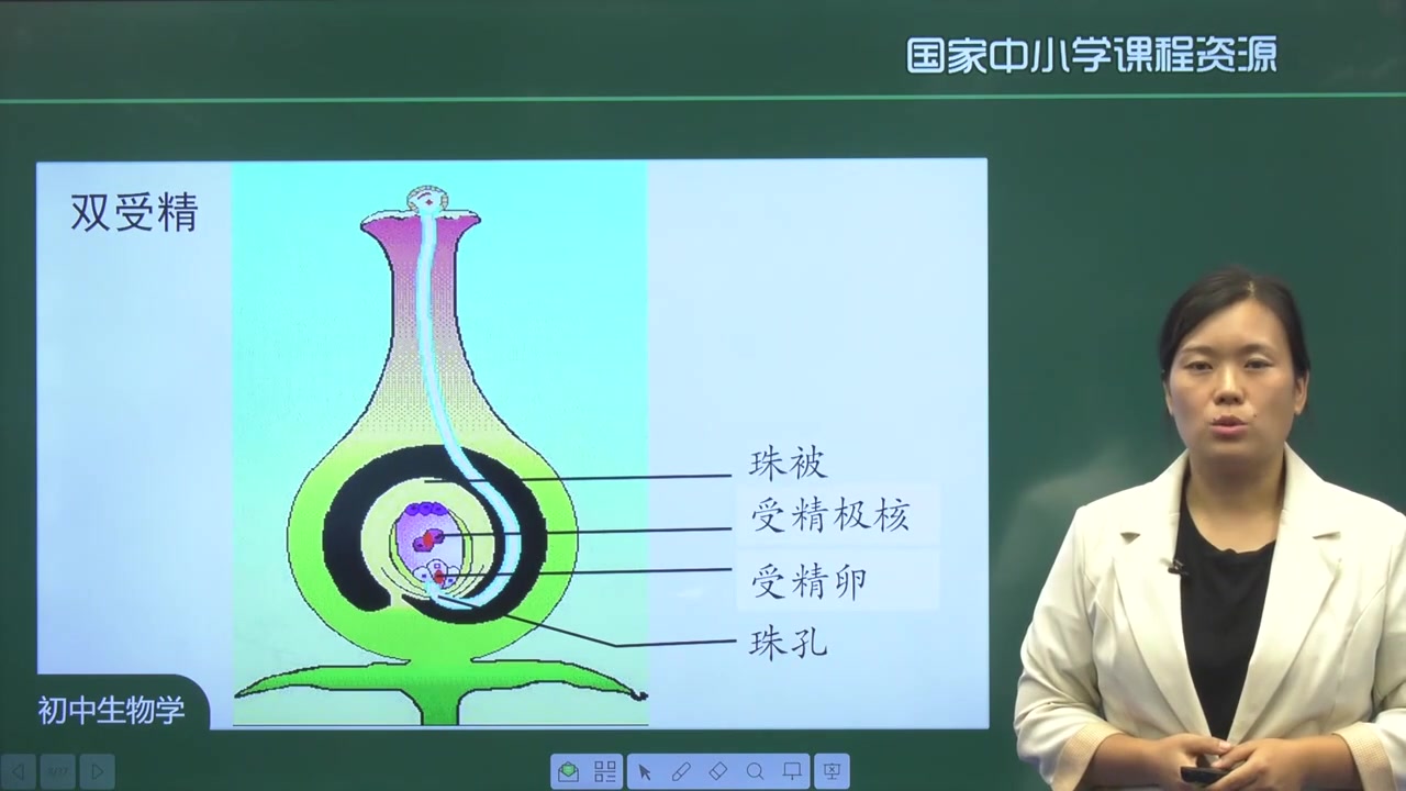 初一生物上册 七年级生物上册人教版精讲视频 初中生物七年级生物上册生物哔哩哔哩bilibili