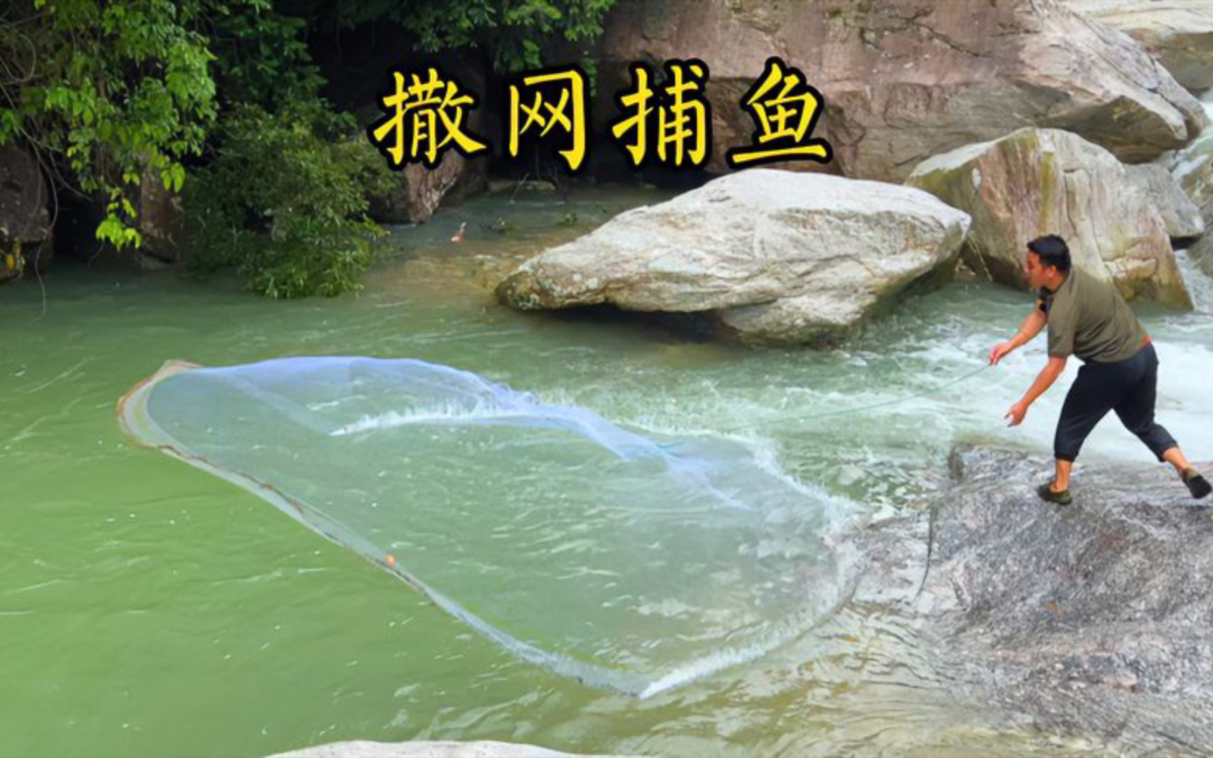 今天的水位还很深,用撒网来捕鱼,捕到的鱼很大条-农村生活苏源-农村生活苏源-哔哩哔哩视频