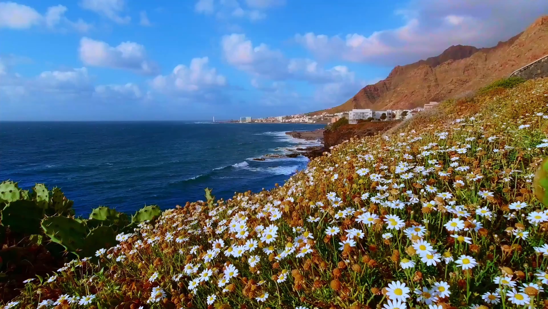 漂亮的海边风景视频哔哩哔哩bilibili