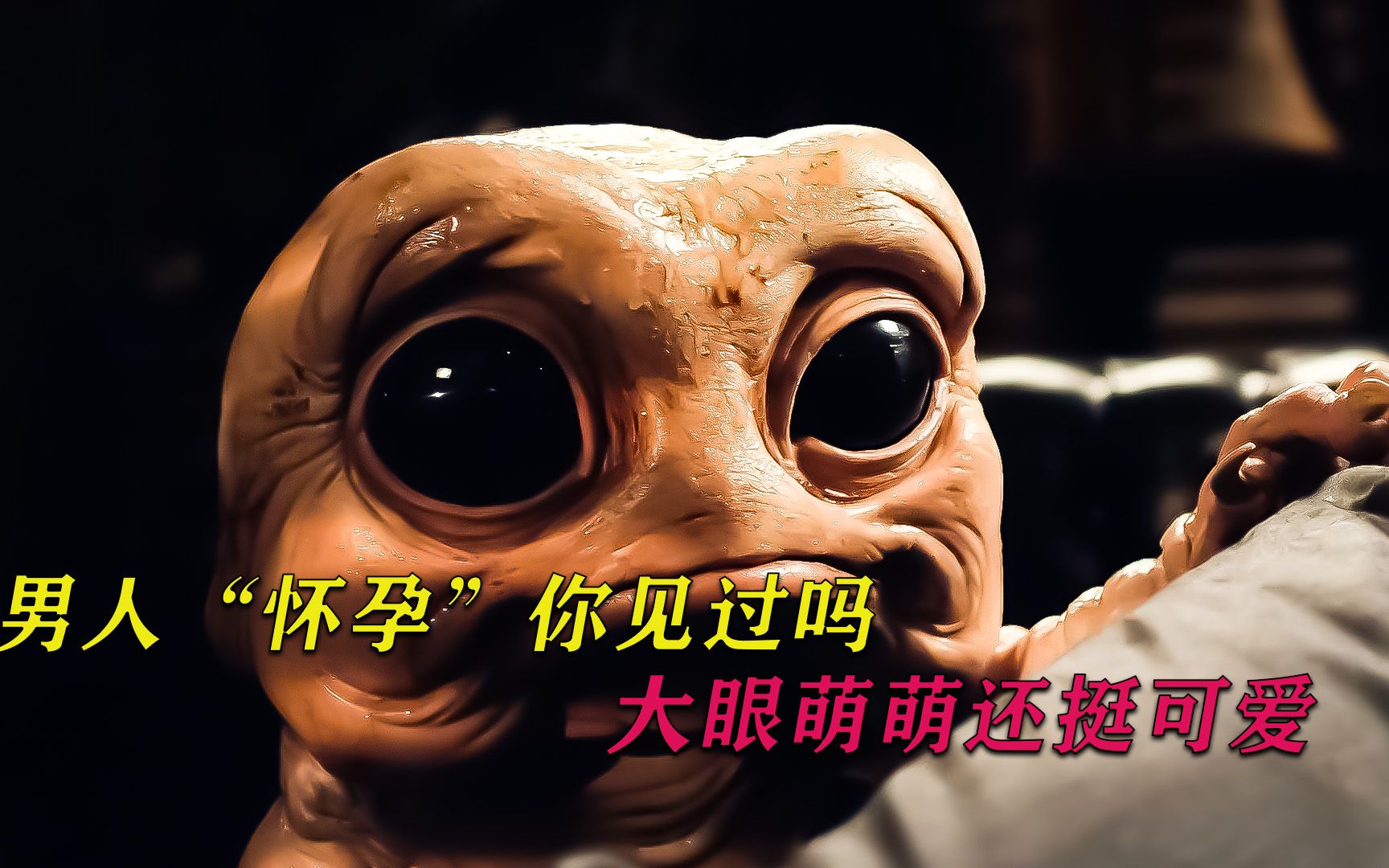 活动作品男子因工作压力长期胃痛医院检告知怀孕了简直太疯狂了