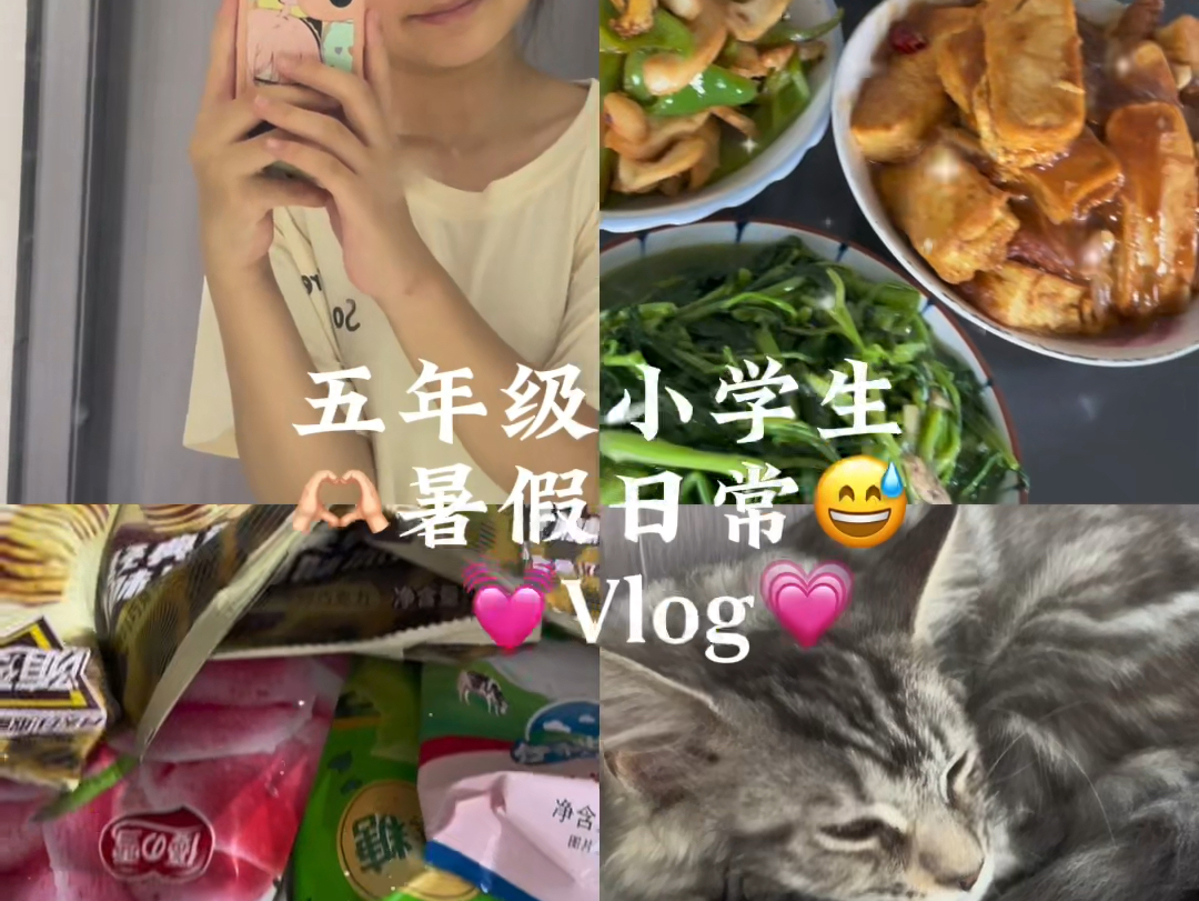 五年级小学生 暑假日常 vlog 宅家但是开心的一天哔哩哔哩bilibili