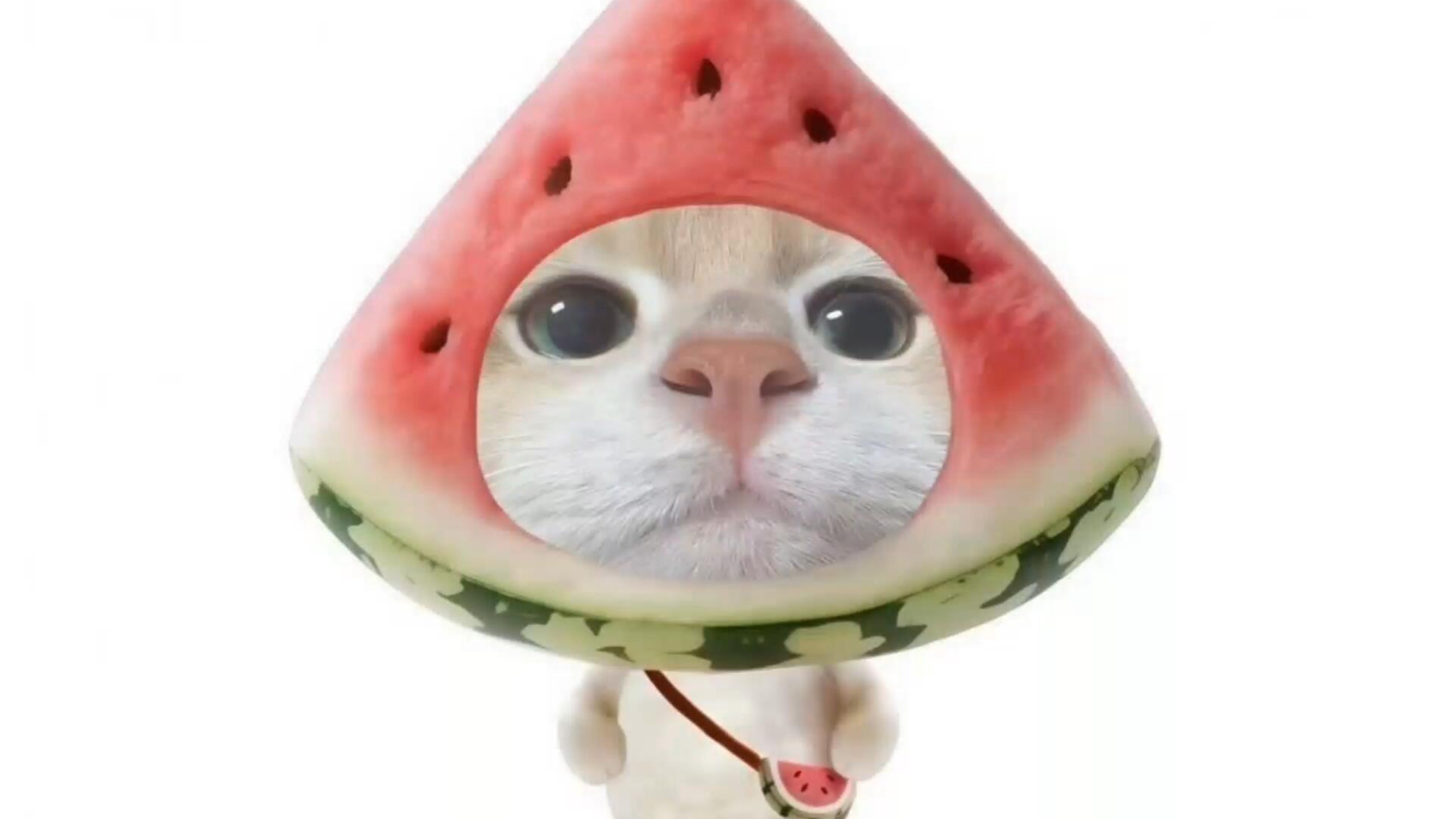 蛋宝们，你们看到主播的头像是什么样子的呢？