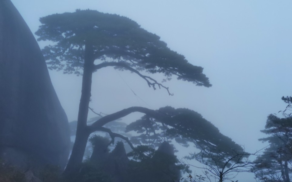 [图]黄山一日云雾游