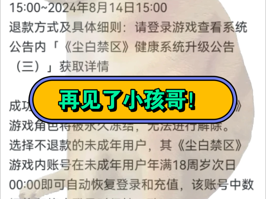 尘白健康系统升级公告3 再见了小孩哥!手游情报