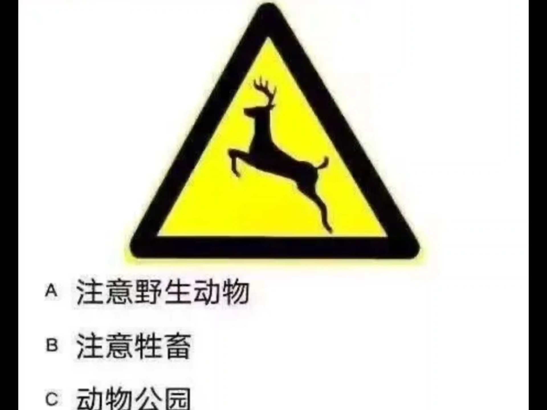 亲爱的朋友,今天天气很好,相信对你来说也一定会是个美好的一天的