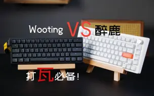 Descargar video: 过于离谱！真物理外挂！—Wooting 60HE VS 醉鹿A75