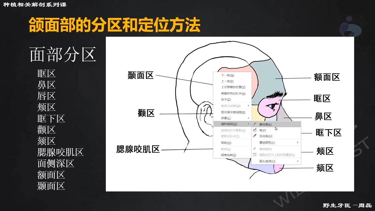 第2讲 - 颌面部解剖基础
