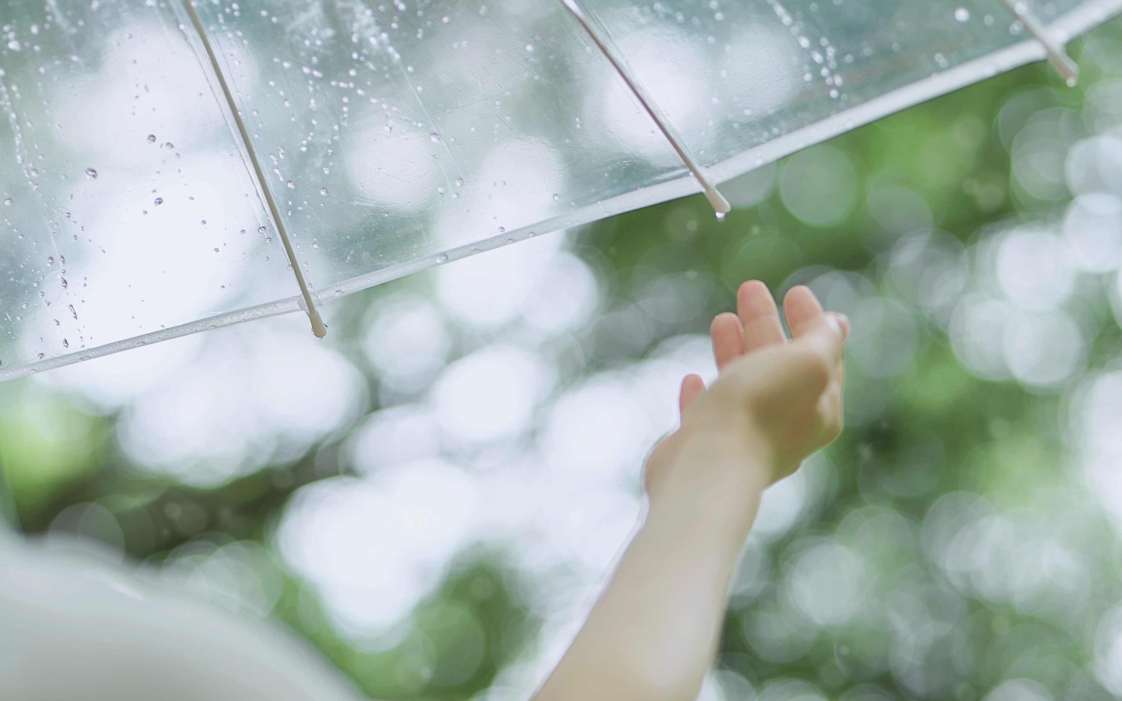 [图]翻页写真｜雨季