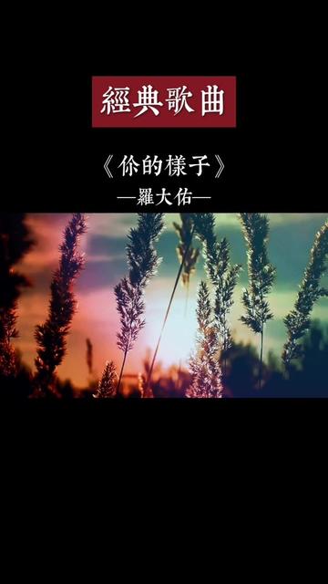 《你的樣子》是由羅大佑演唱的歌曲,收錄專輯《愛人同志》.