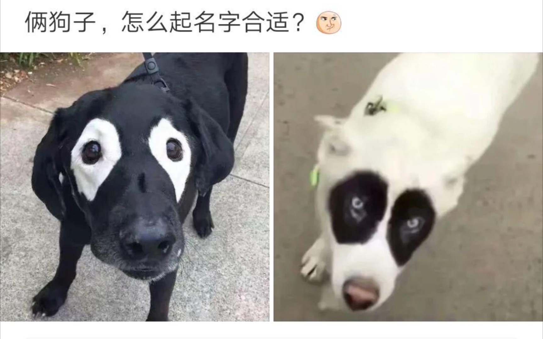 沙雕图片_哔哩哔哩_bilibili