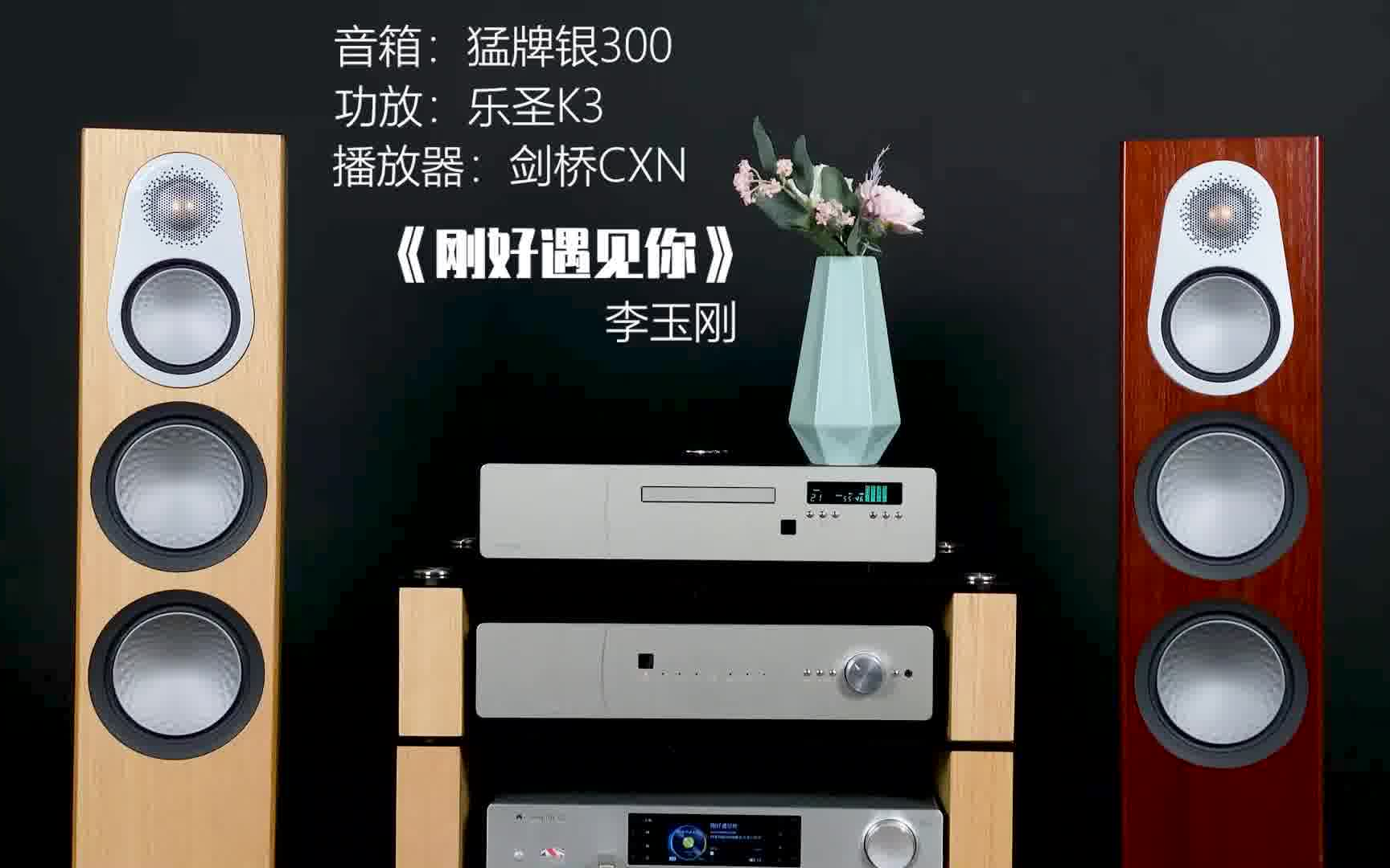 猛牌银300 刚好遇见你(男声流行)3分频试听6寸低音单元,4寸中音哔哩哔哩bilibili