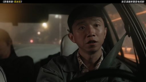 一口气看完2024爆火电视剧《雪迷宫》精讲解说!