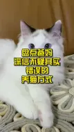 下载视频: 盘点爸妈深信不疑其实错误的养猫方式