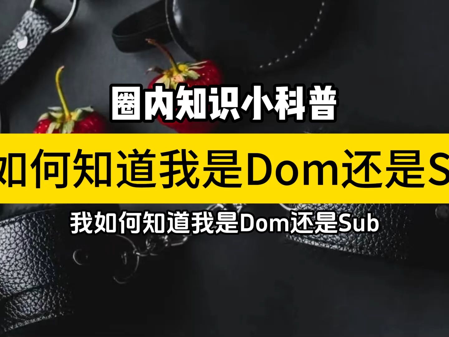 我如何知道我是Dom还是Sub哔哩哔哩bilibili