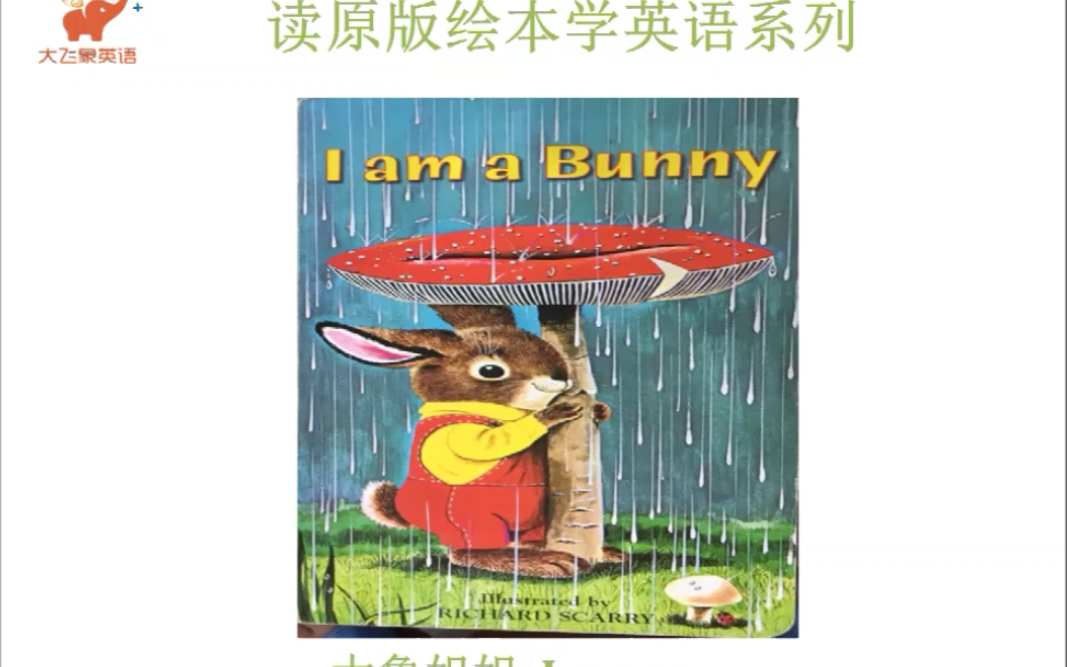 I am a bunny 我是一只兔子哔哩哔哩bilibili