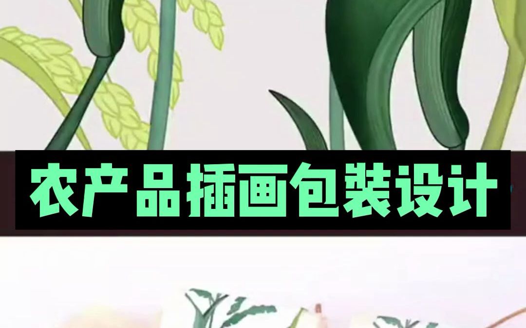 小清新风格的农产品包装插画,爱了爱了哔哩哔哩bilibili