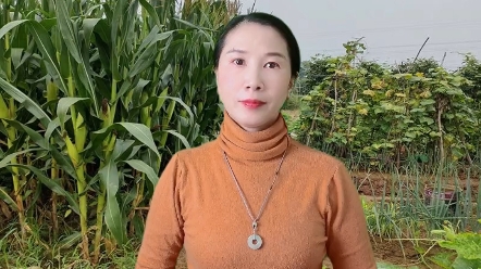 高敏,95后女博士,突破了世界难题