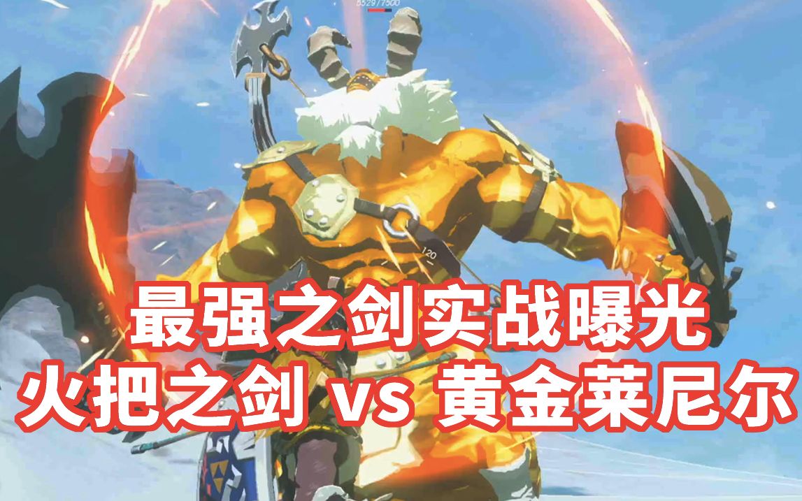 【塞尔达传说】火把之剑vs黄金莱尼尔
