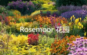 Descargar video: Rosemoor花园