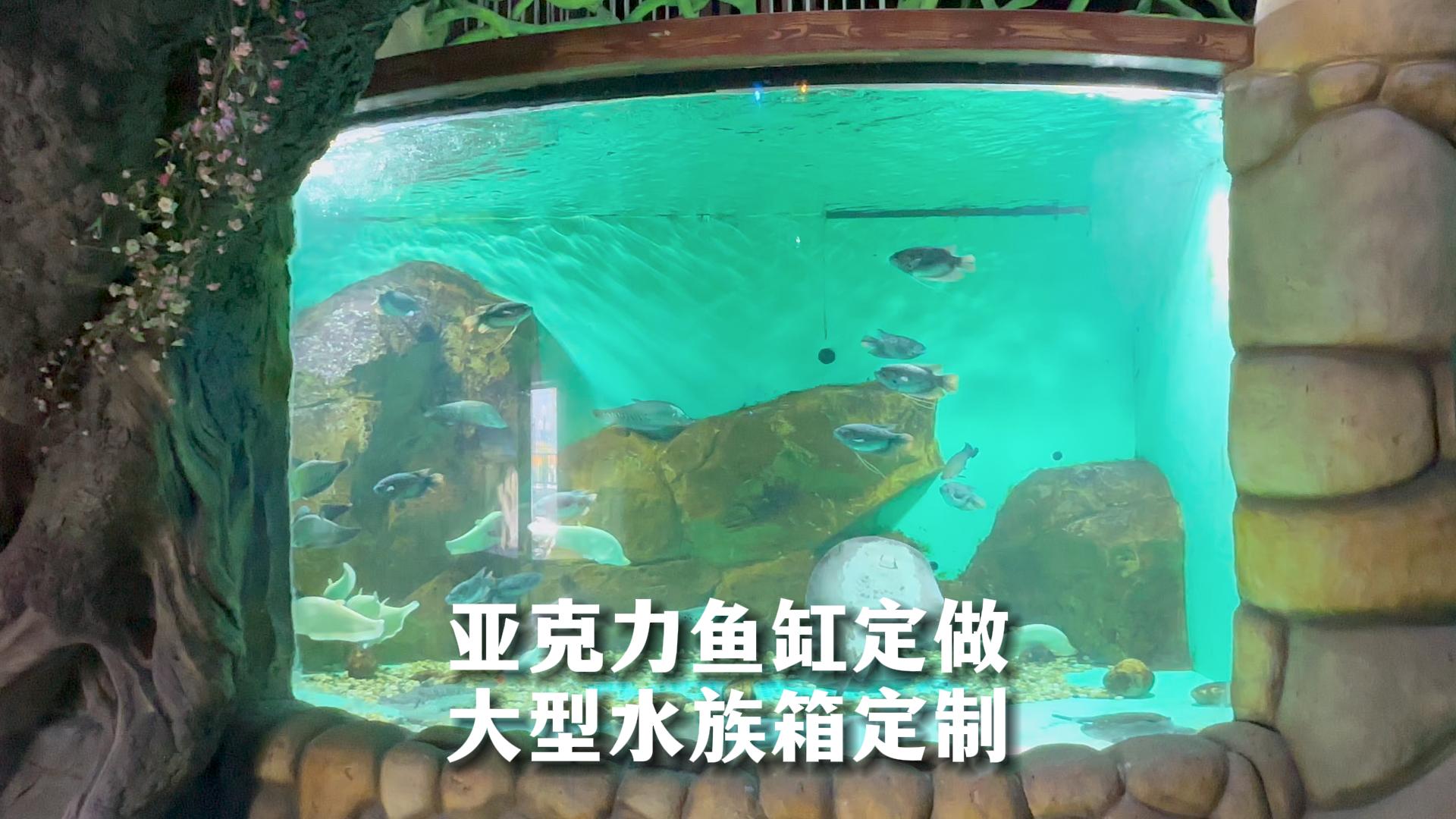 亞克力魚缸定做,大型水族箱定製