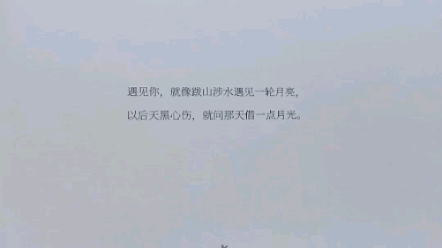 张佳嘉,带你领略人世间的痛苦与绝望,然后告诉你要为人间尚存的温暖而生活.哔哩哔哩bilibili