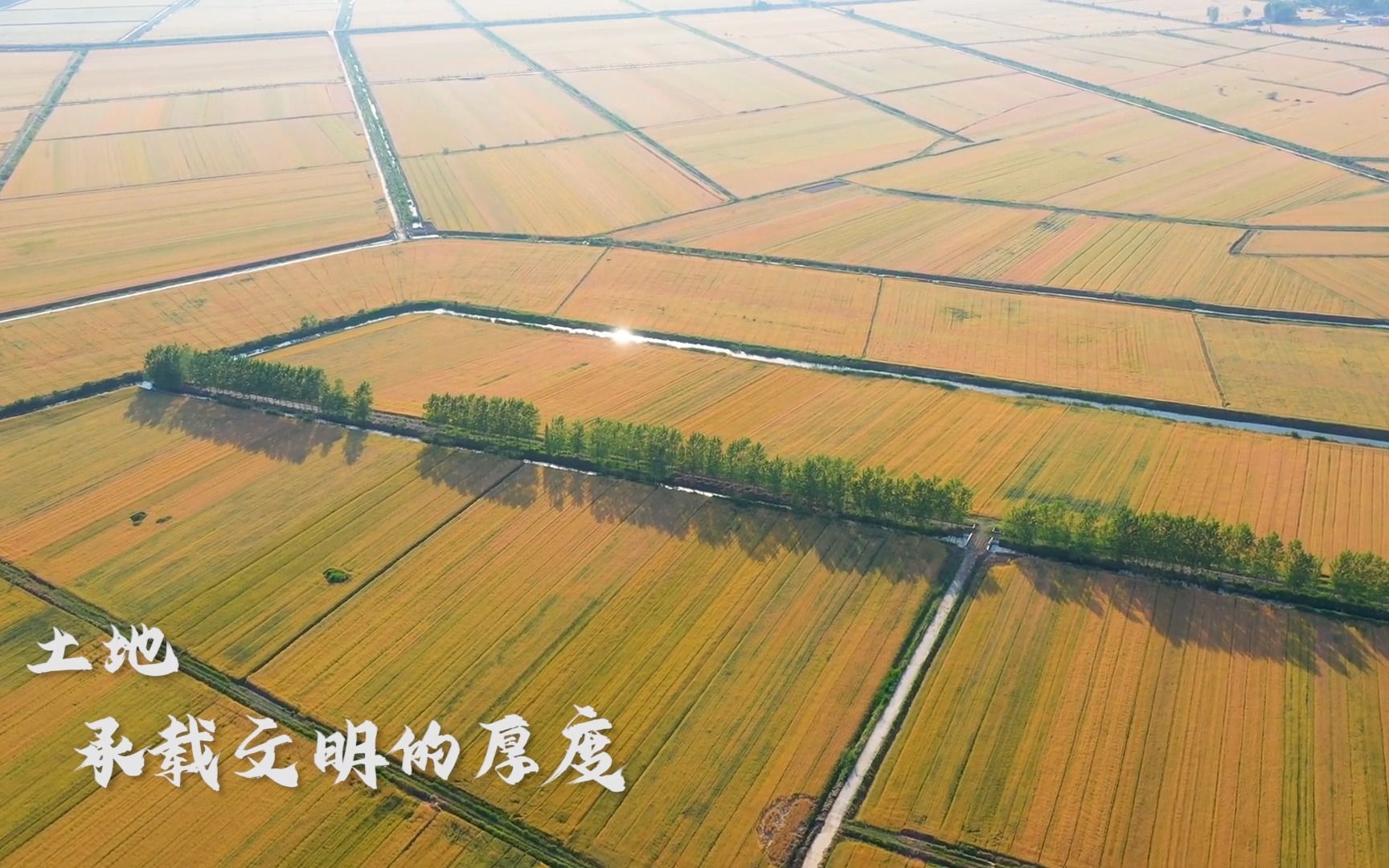 [图]徐州市局-守护饭碗田耕保我来谈