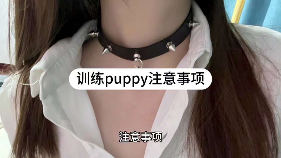 训练puppy注意事项哔哩哔哩bilibili