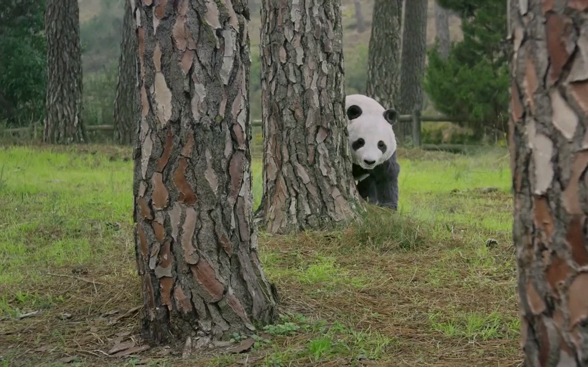 [图]瑞典沙雕式洗脑MV《Horse》