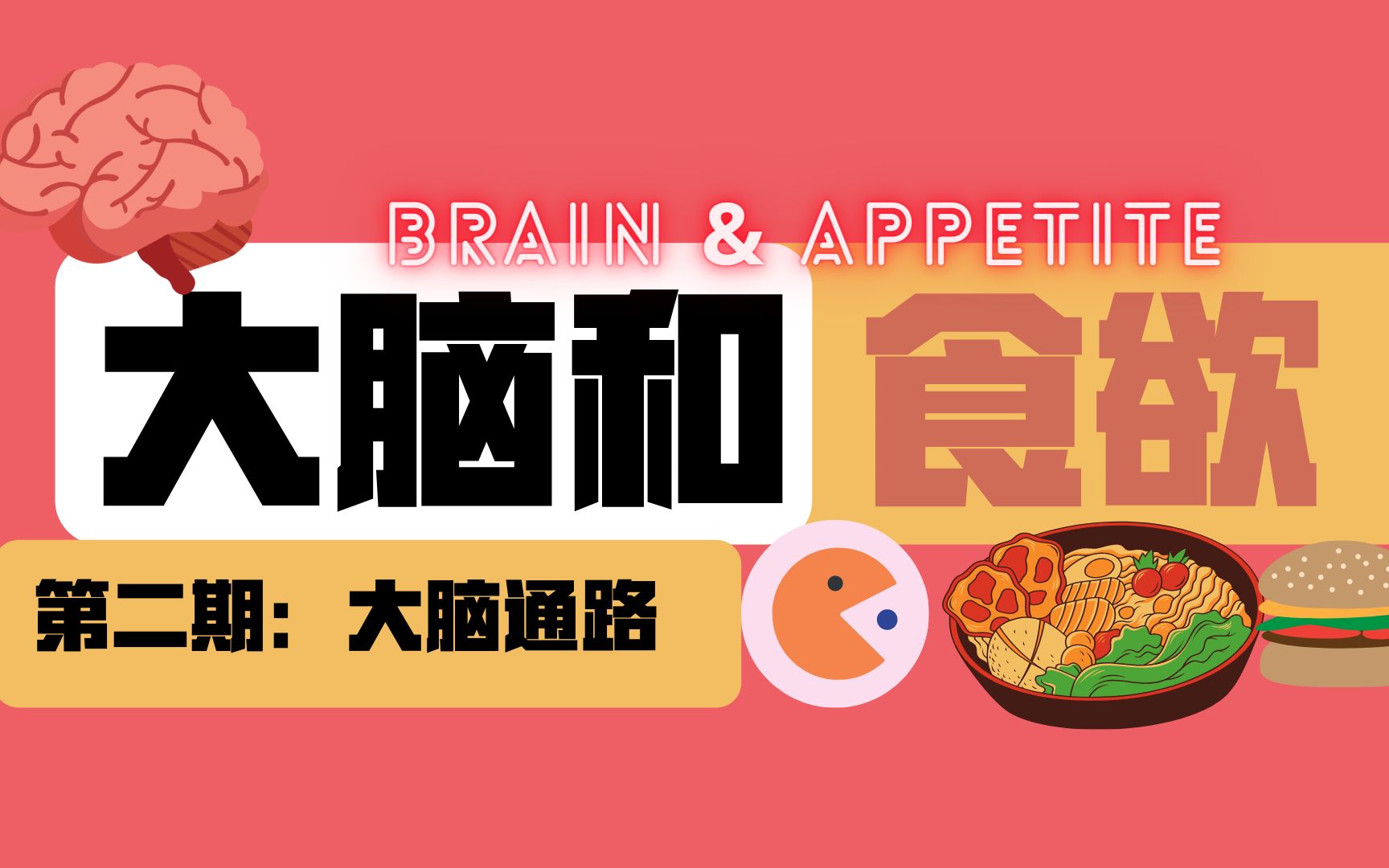 “大脑和食欲”第二期 | 下丘脑外侧核 食欲肽 饥饿素 瘦素 胆囊收缩素哔哩哔哩bilibili