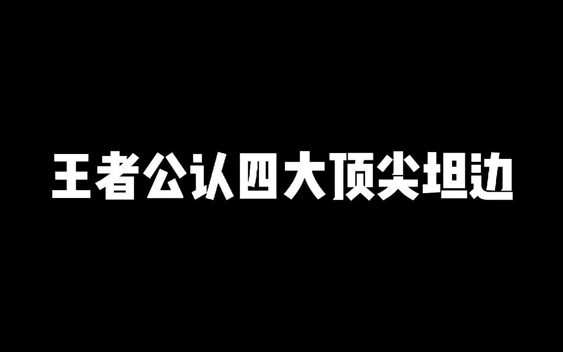 [图]王者公认四大顶尖坦边，战边给我的安全感不如他们的万分之一