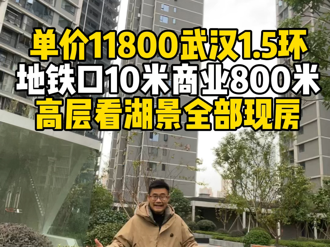 单价11800买武汉1.5环,高层看湖景,全部都是现房,地铁口10米,万科商业800米哔哩哔哩bilibili