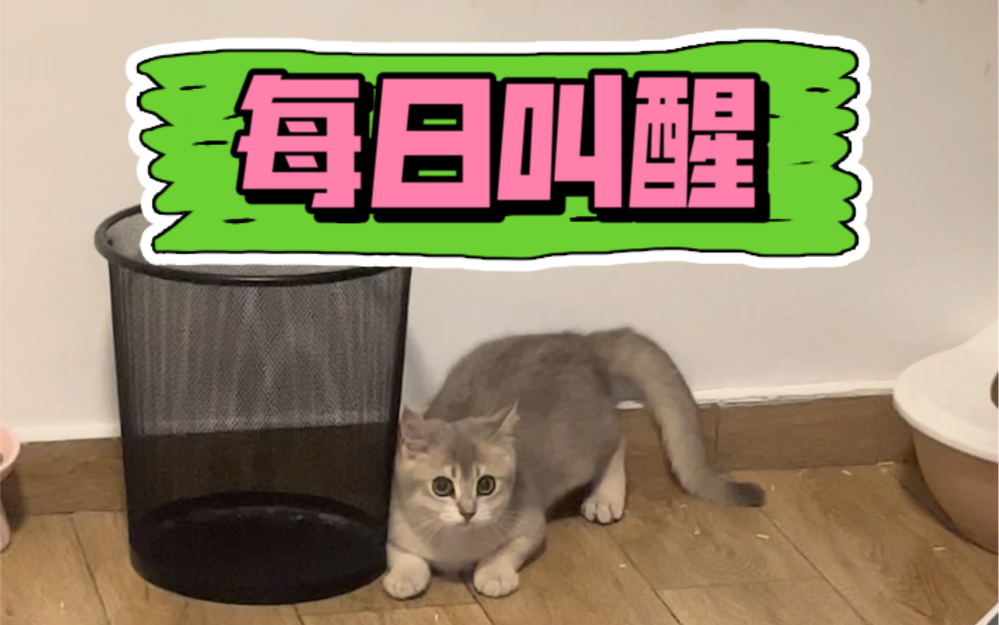 凌晨六点半的闹钟