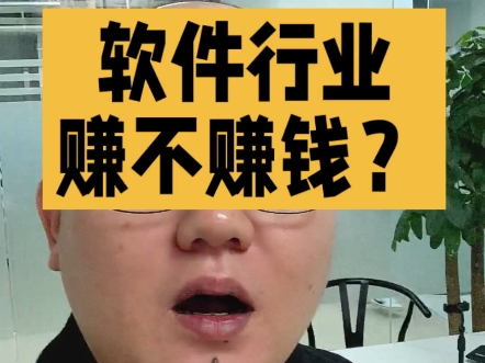 软件开发公司赚不赚钱?哔哩哔哩bilibili